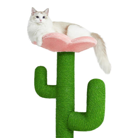 Blooming Cactus Cat Tree