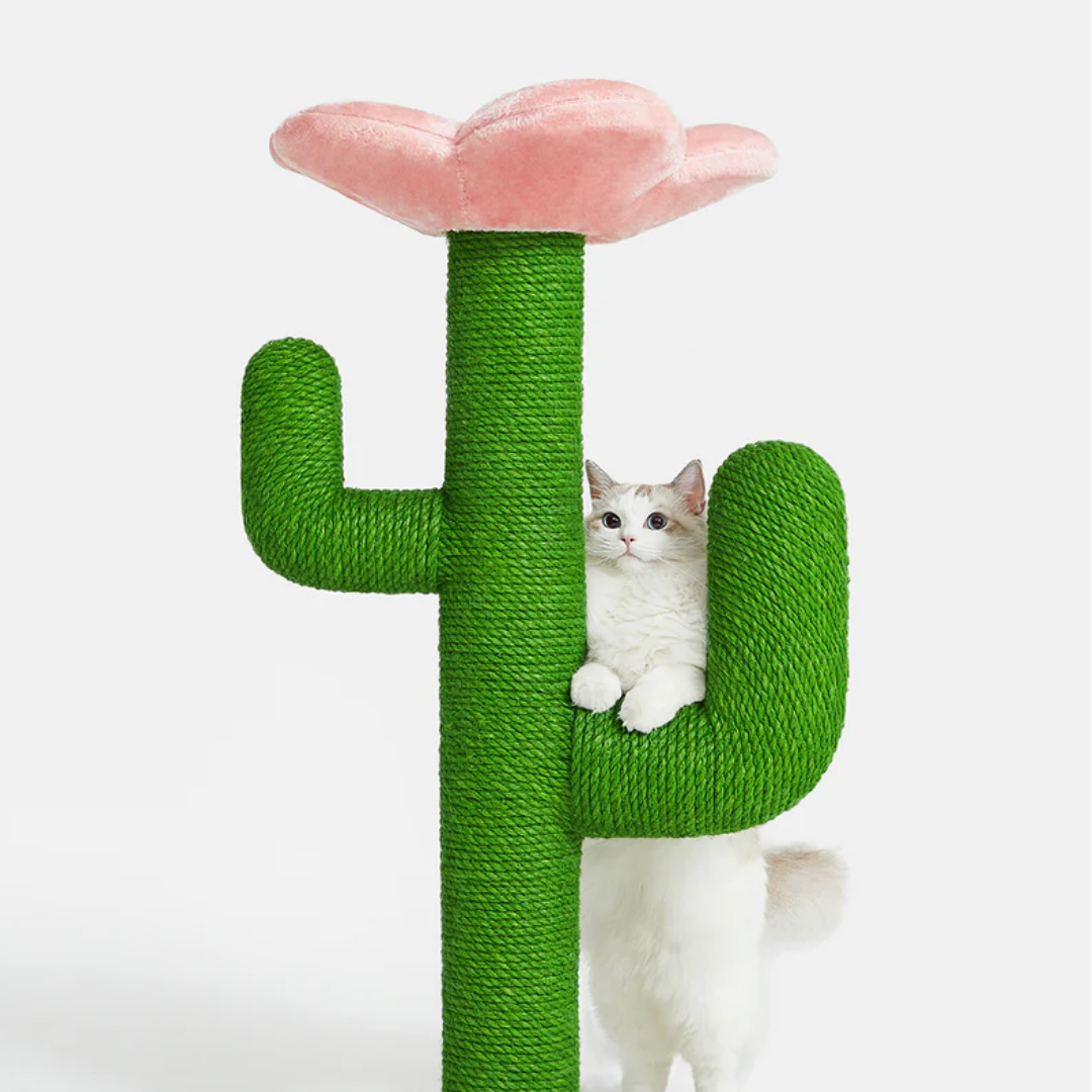 Blooming Cactus Cat Tree