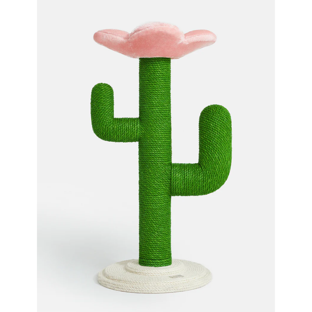 Blooming Cactus Cat Tree