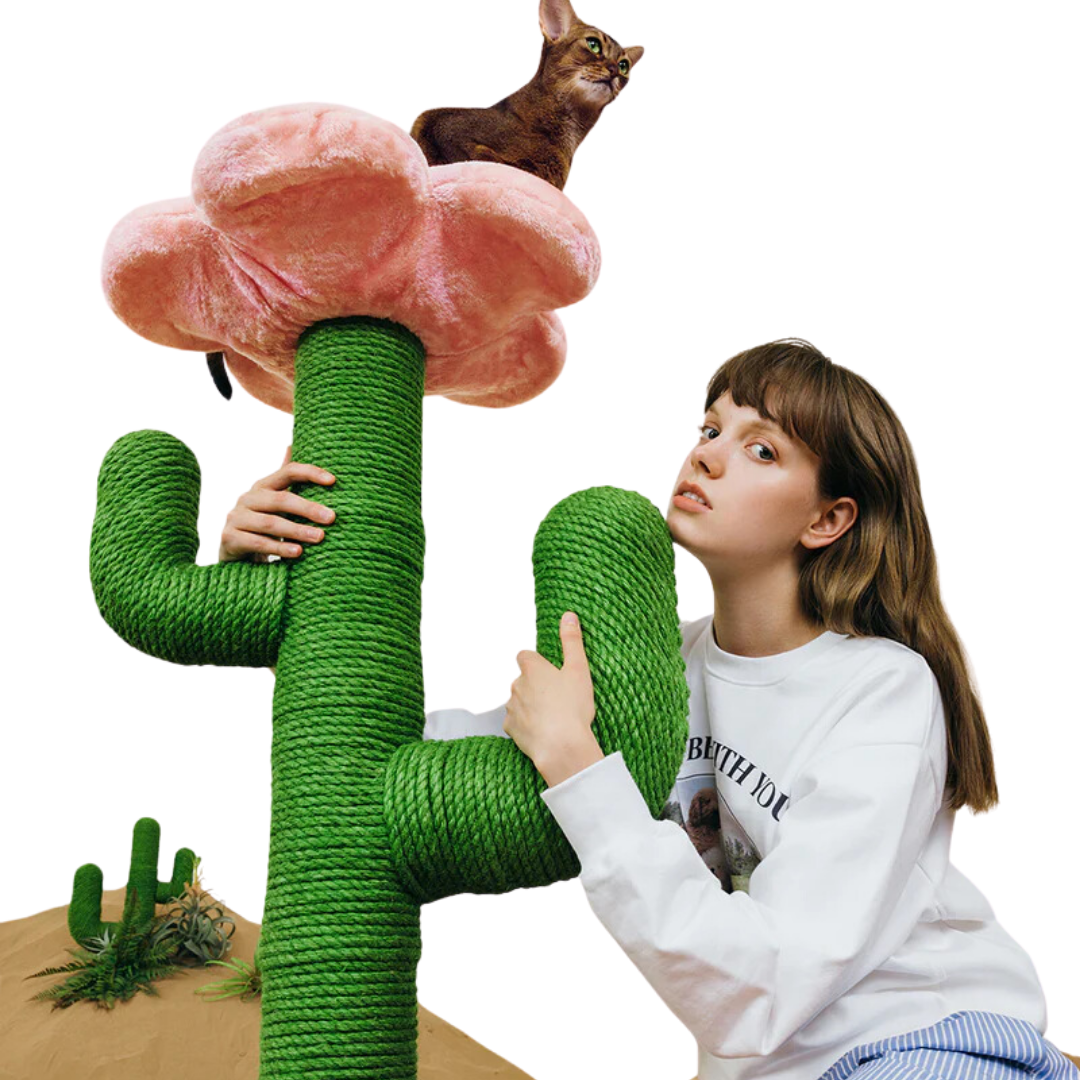 Blooming Cactus Cat Tree