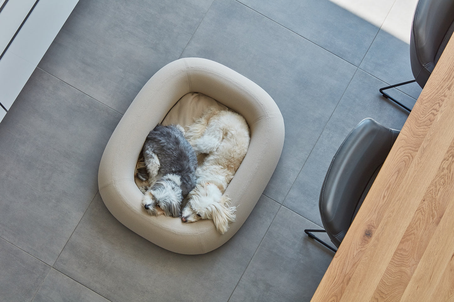 BARCA Dog Bed (Washer-safe)