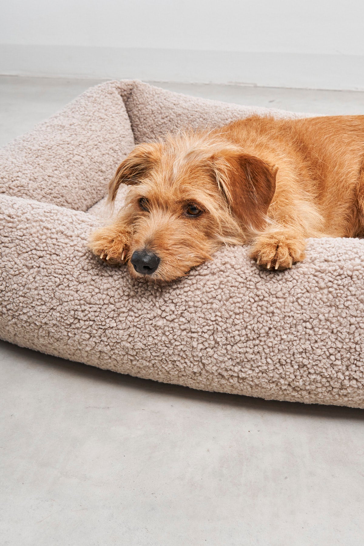 SENSO Dog Box Bed