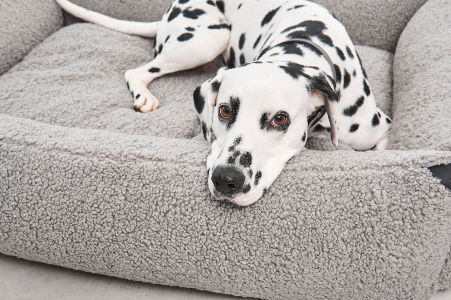 SENSO Dog Box Bed