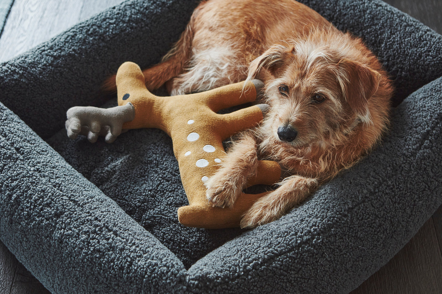 SENSO Dog Box Bed