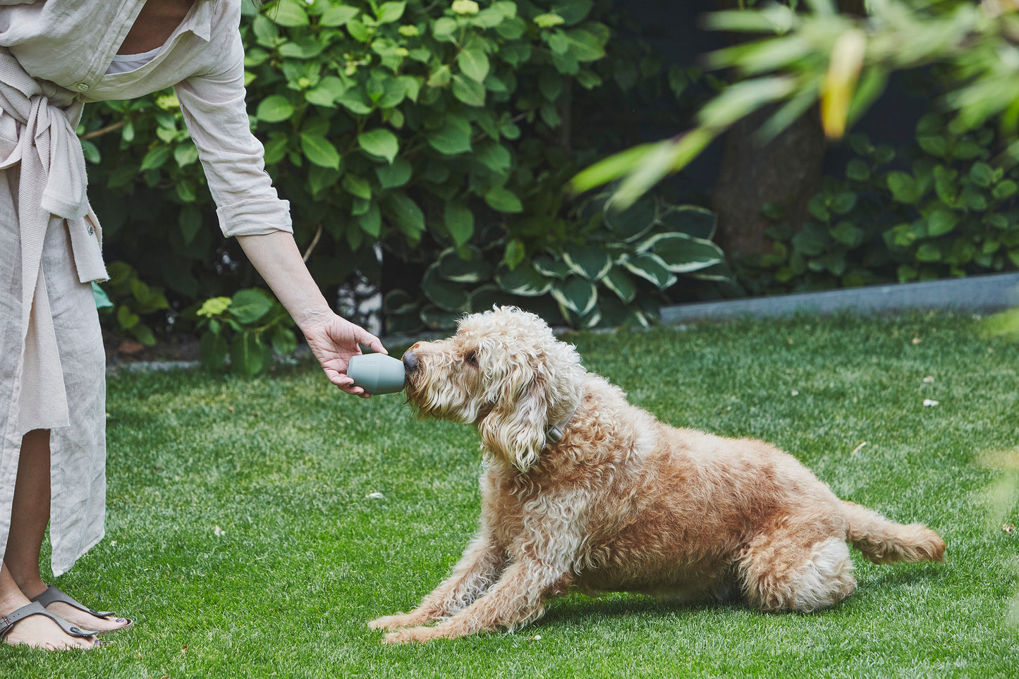 CONO Dog Activity Toy