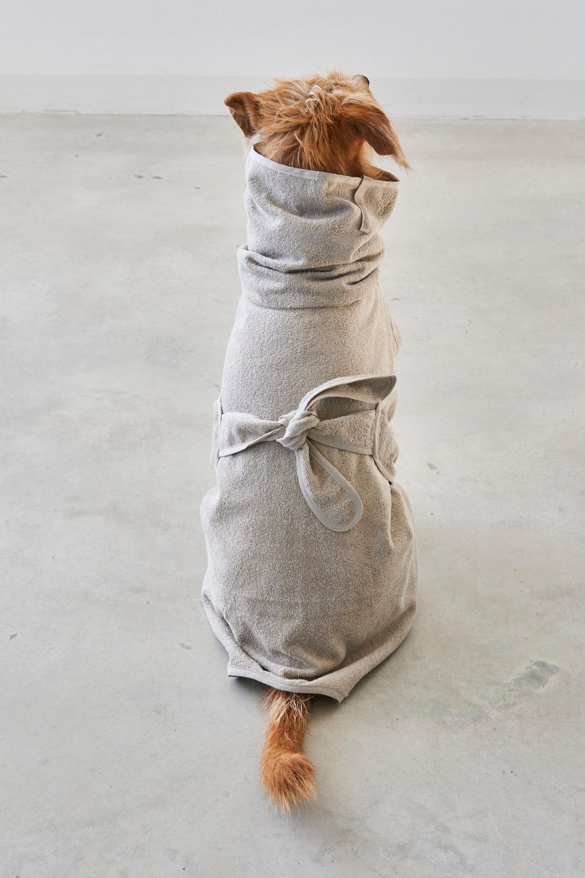 BAGNO Dog Bathrobe