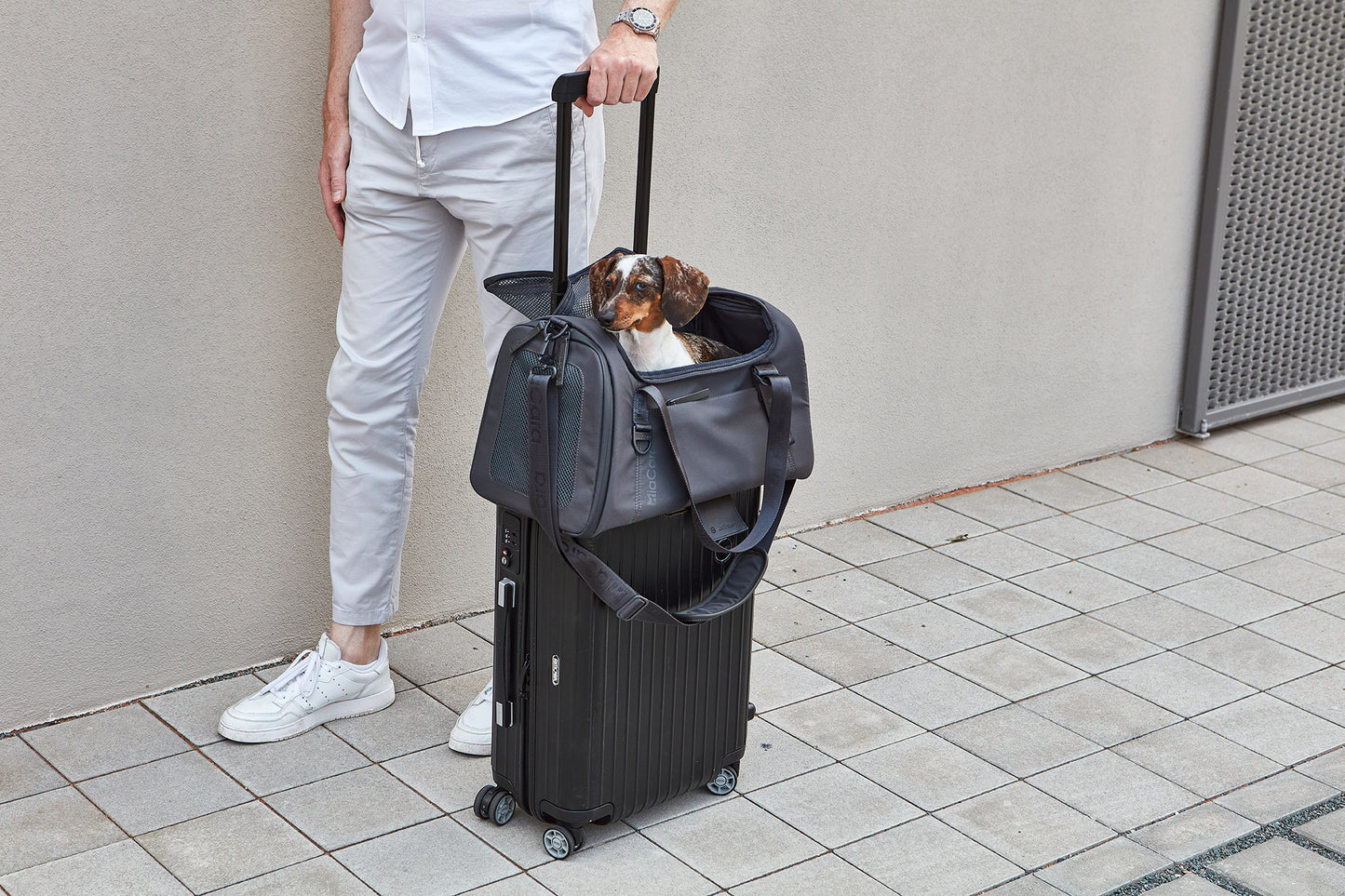 VOLATA Travel Dog Carrier