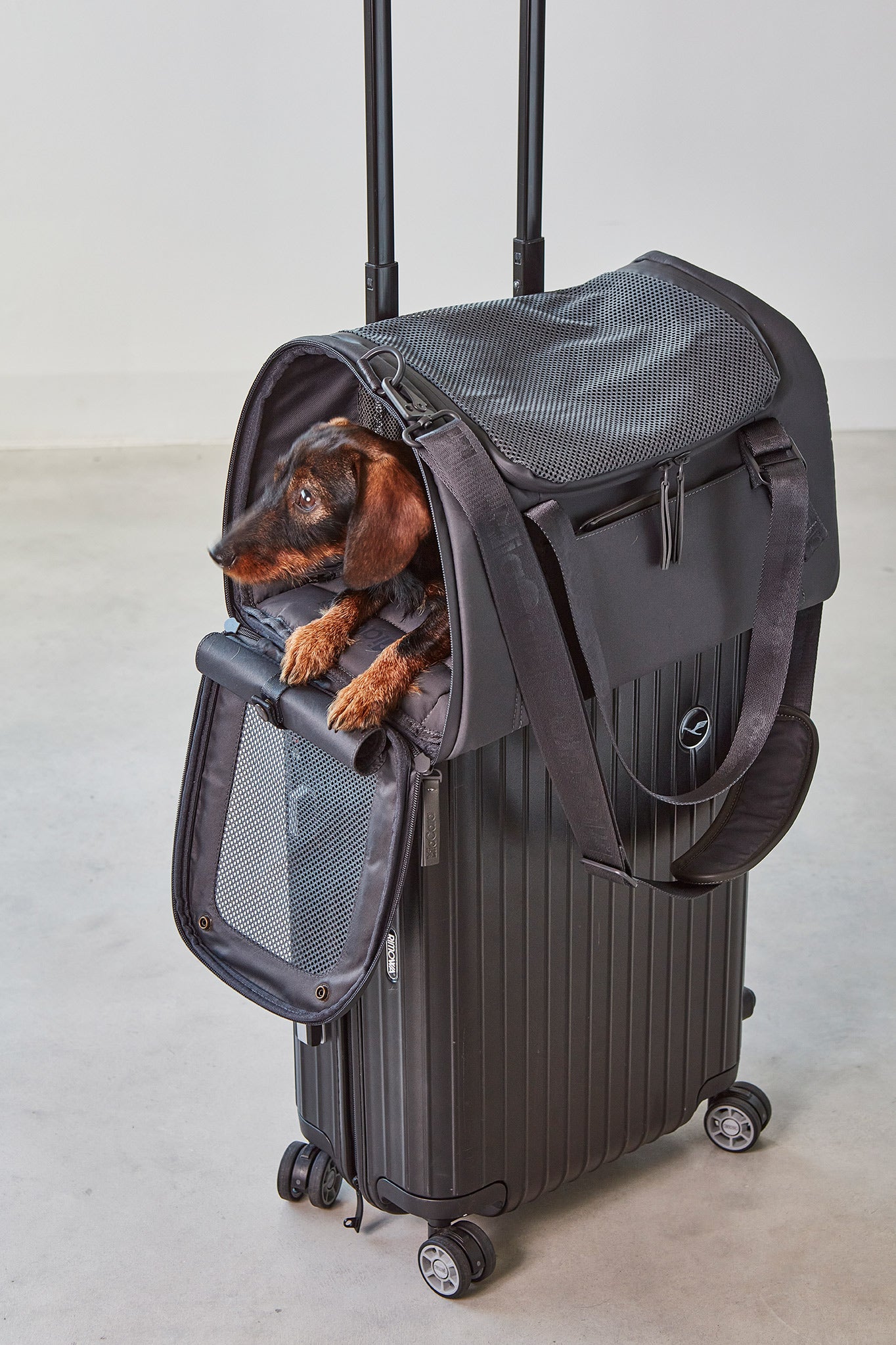 VOLATA Travel Dog Carrier