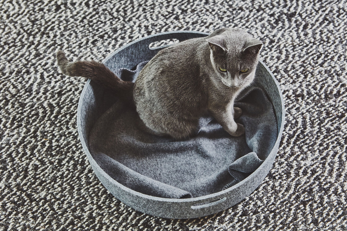 CESTO Felt Cat Basket