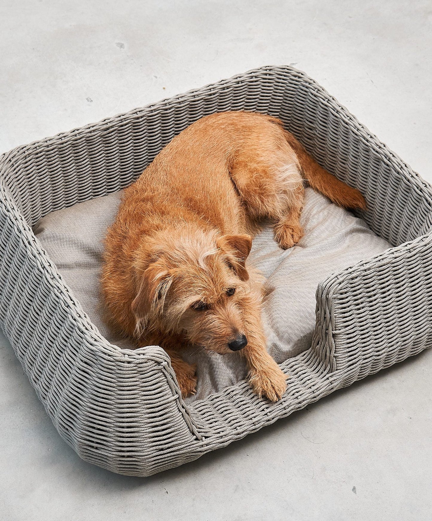 MIO Rope Dog Basket